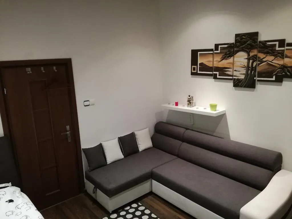 Warsaw View Premium Rooms For Rent Apartment