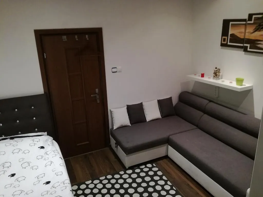 Warsaw View Premium Rooms For Rent Apartment